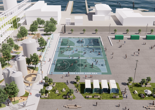 New basketball court surface brings colour to the Te Ara Tukutuku project preview image
