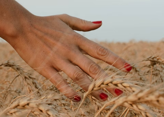 Aura Nails & Beauty preview image