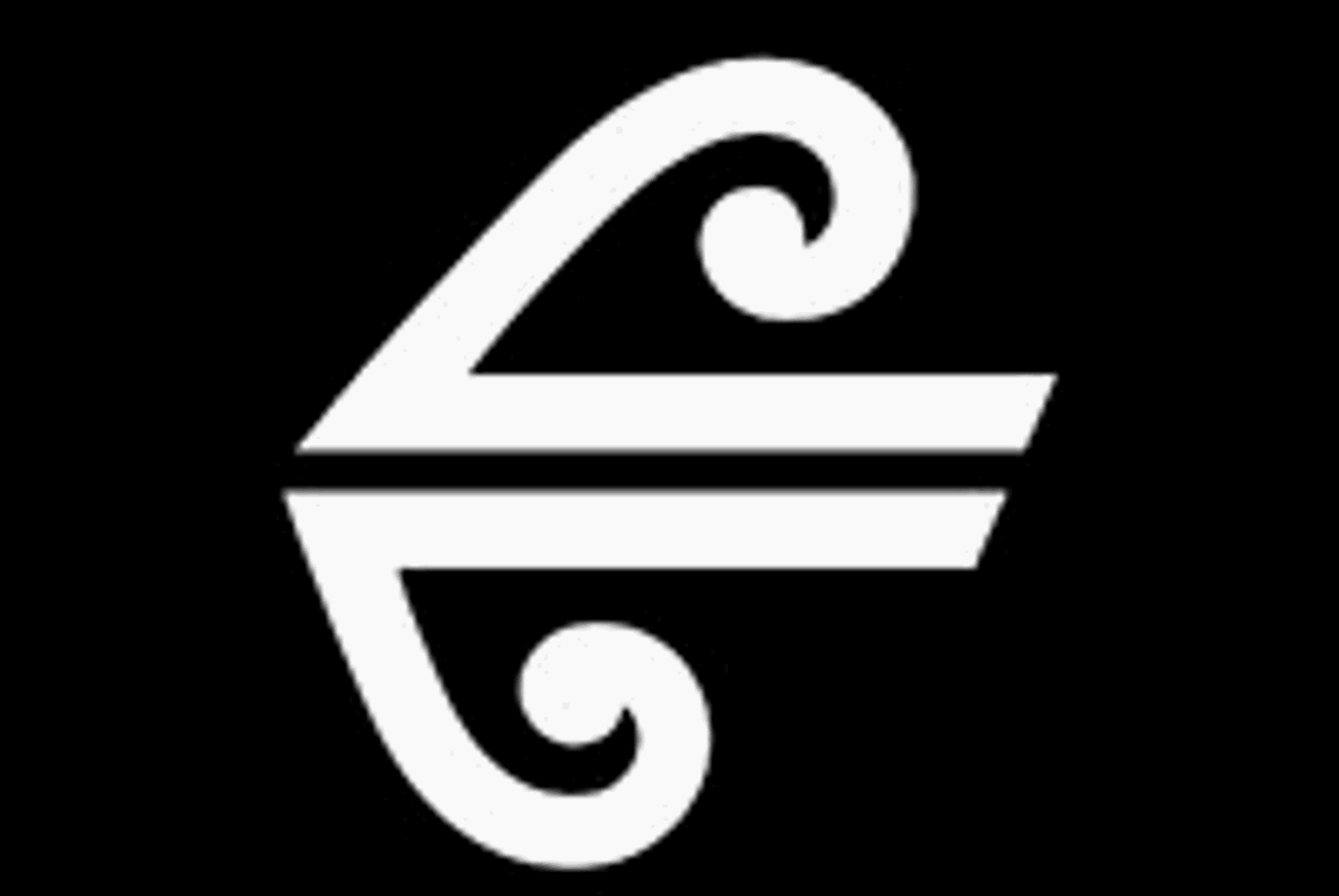 Air NZ