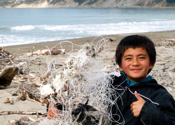 Sustainable Coastlines Charitable Trust preview image