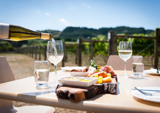 Wynyard Vineyard  preview image