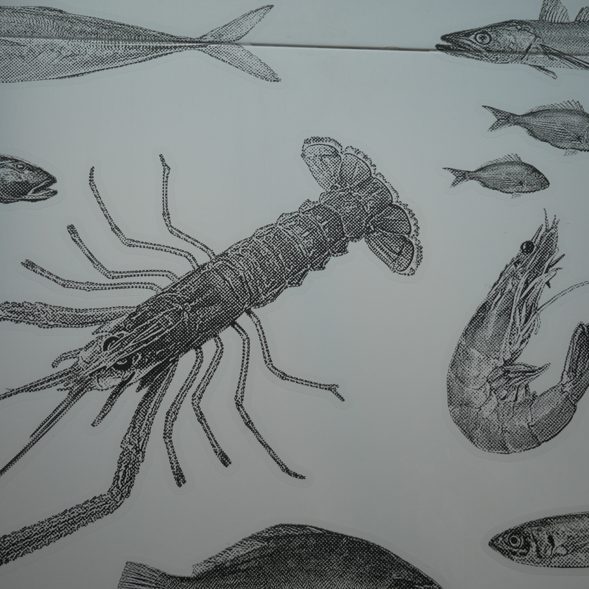 Auckland Fish Market Wynyard Quarter